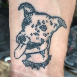 Meet your Posher, Dylan